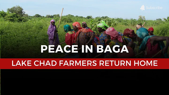 Lake Chad Farmers Return Home: Peace Restores Hope in Baga Community