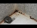 Проверенные методы убрать плесень в ванной комнате на плитке и остальных поверхностях