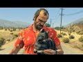 GTA 5 - CAT VS TRAIN