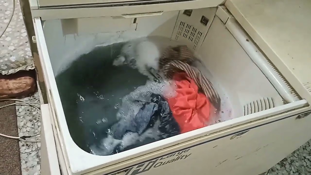 روتين اليوم في مملكة ام حسان