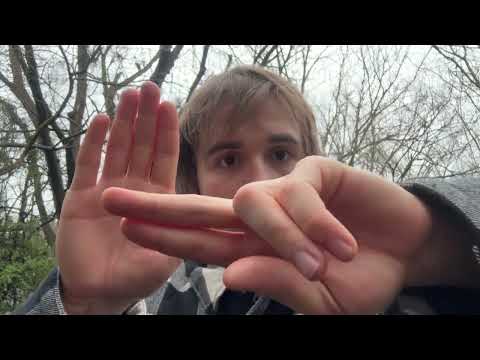 ASMR Hand Movements w/ An Angry Deer Nearby