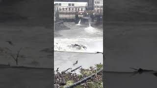 Willamette Falls in Oregon City