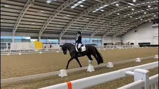 Ad ref 270497   Video 2
