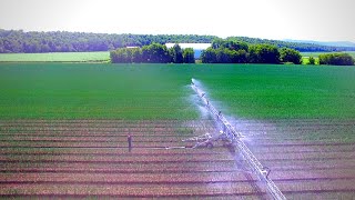 Une Rampe d'Irrigation de 300 pieds ! [ Groupe Les Fermes Lussier ]