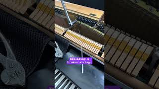 Replacing a broken piano string #shorts #piano #pianotechnician #dhmproductions