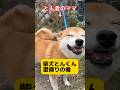 先日、里帰りした模様をまとめてみました その1