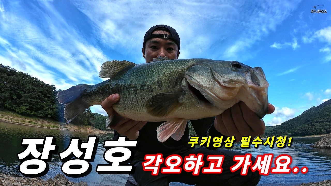여름 장성호 각오하고 가셔야 합니다. 쿠키영상 필수시청! [4K]