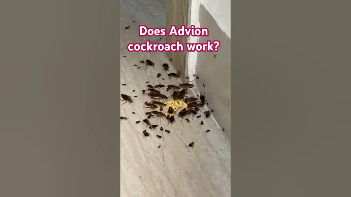 Does Advion cockroach work? Dale Prime Property Management Services