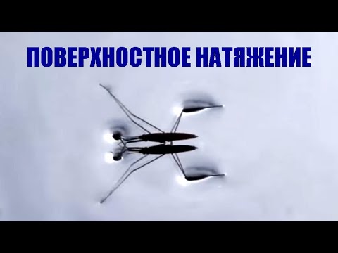 Поверхностное натяжение