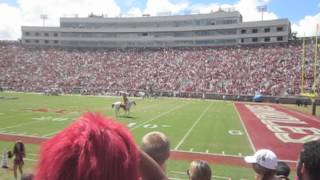 FSU FOOTBALL!