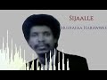Musxafaa Harawwee Sijaalle Old Oromoo Music Musxafaa Harawwee Sijaalle Old Oromoo Music