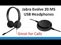 Jabra GN Netcom Evolve 20 UC Duo MS Optimized, USB Headband