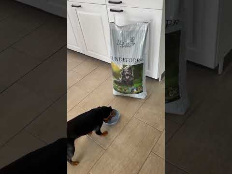 Video: Er purina hundefoder godt?