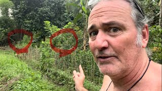 Unbelievable Jungle Beings That Must Be Seen To Be Believed!