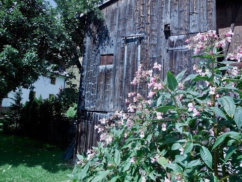 visit-st.-anton-am-arlberg,-austria-in-summer:-a-rosanna-river-walk