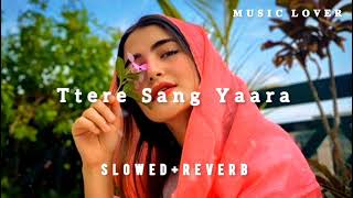 Tere Sang  Yaara  | (Slowed+Reverb) Atif Aslam |  music lover