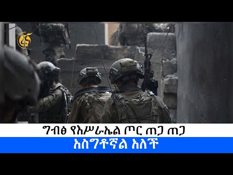 ቪዲዮ: ዴቪድ ሳርጊስያን - ሩሲያዊ ፊዚዮሎጂስት፣ ዘጋቢ ፊልም ሰሪ፣ የጥበብ ተቺ፡ የህይወት ታሪክ