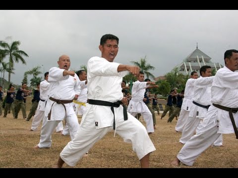 Video: 11 Jenis Karate: Fitur, Penurunan Berat Badan, Bela Diri, Dan Lainnya