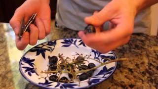How To Eat A Grape