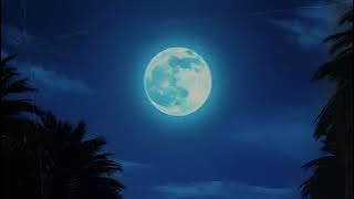 Neon Capital - 'Midnight Lovers' (Official Audio)