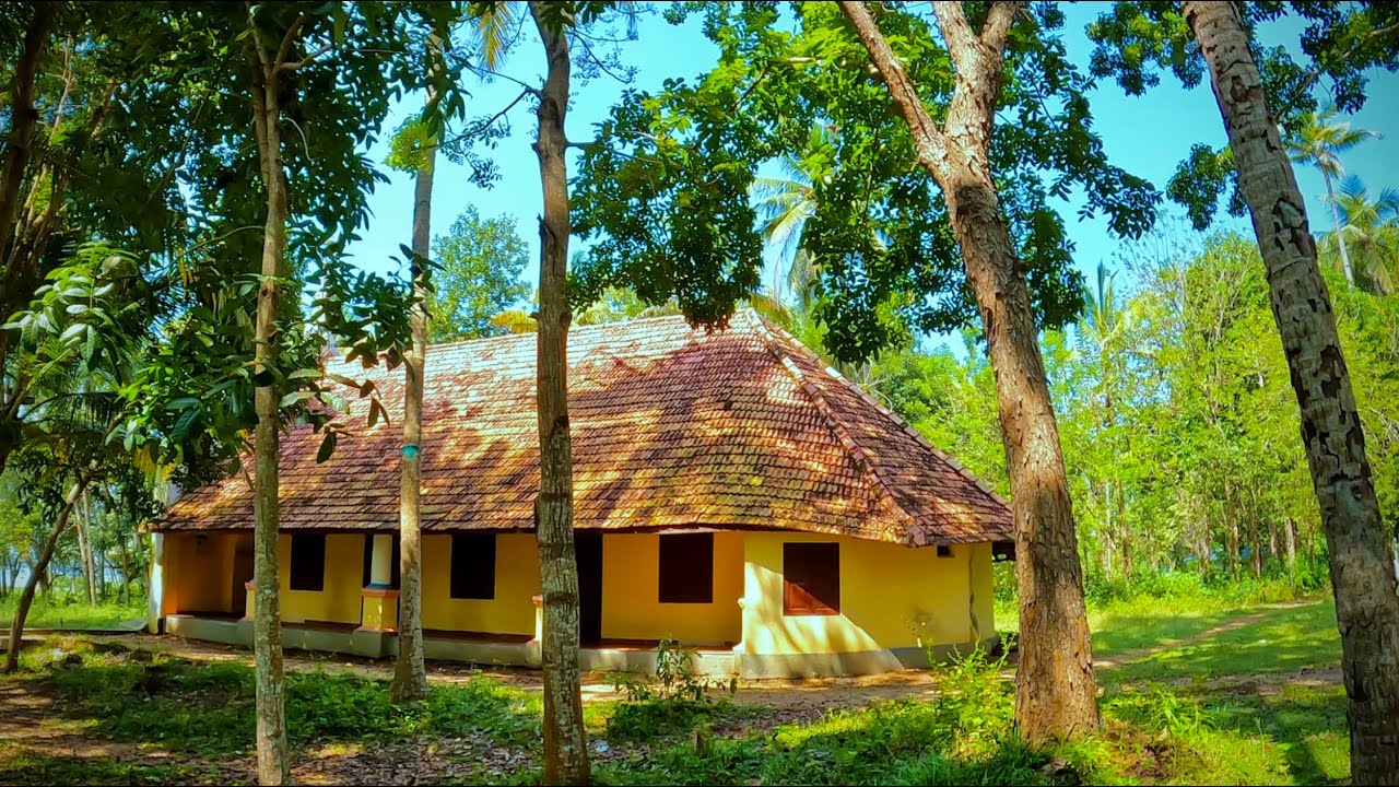 മൺറോ ദ്വീപിലെ കാഴ്ചകൾ | Canoe ride in Munroe Island
