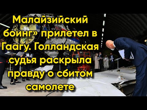 Малайзийский боинг» прилетел в Гаагу  Голландская судья раскрыла правду о сбитом самолете