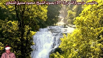 ما تيسر من سورة النحل (1-37) | صدى | بصوت الشيخ/ محمود صديق المنشاوي