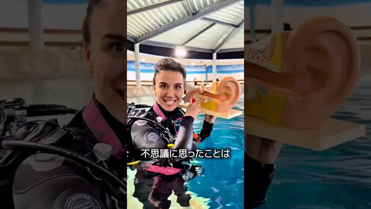 ダイビングで耳が痛くなる仕組み