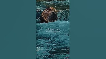 سورة البقرة #قران_كريم #اكسبلور #الرحمن #music #دويتو #المصحف #راحة_نفسية #المراه #duet #اعتني