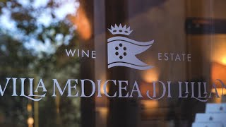 Our organic wine and olive oil shop