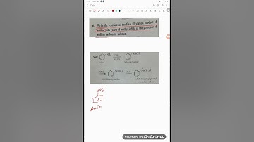 Write the reaction of the final alkylation product of aniline with excess methyl iodide in presence