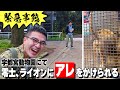 カナメストーンの旅in宇都宮!動物園を楽しんでいた零士に突然の悲劇が!?【宇都宮動物園】