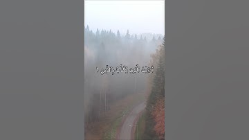 سورة الماعون القارئ اسلام صبحي #quran #استغفر_الله #القرآن #القرآن_الكريم #راحة_نفسية