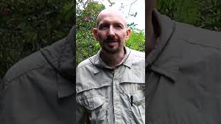 local tour guide to Costa Rica Shorts travel