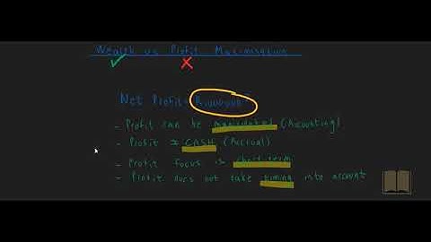 Wealth vs Profit maximization