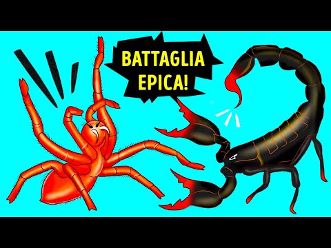 Video: Lo scorpione più grande: dimensioni, descrizione, foto
