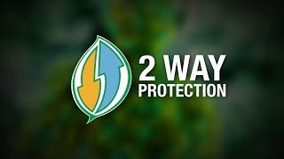 Movento Energy Energise Your Crop