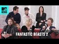 The Cast of &#39;Fantastic Beasts 2&#39; Confess Their IRL Crimes 😧 | MTV News