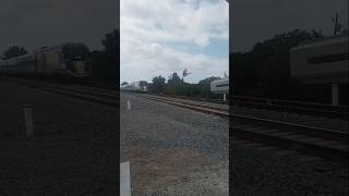 Green stripe Brightline Train passing by Lighthouse drive