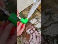 Strong &amp; Durable Angle Valve #Plumbing #HomeImprovement #HardwareTools #shortsfeed