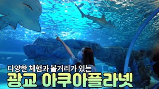 수원 광교 아쿠아플라넷/실내 데이트장소 추천/아이들과 가볼만한곳/수원아쿠아리움