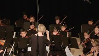 Prelude Strings Orchestra 2018 Spring concert