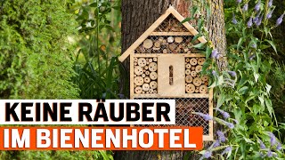 Achtung Räuber! So sichern Sie Ihr Bienenhotel vor Vögeln