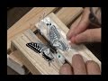 昆虫標本作成講座・初級編～チョウの展翅～