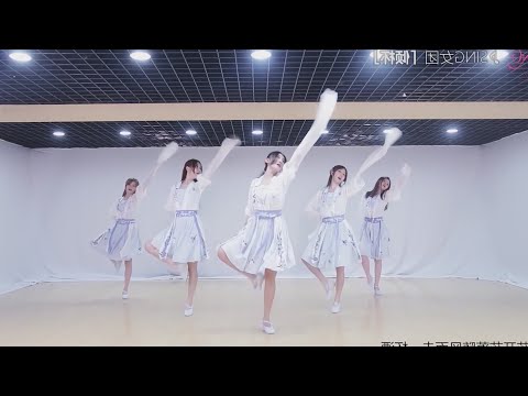 SING女团《倾杯》舞蹈练习镜面版 Dance Practice Mirrored