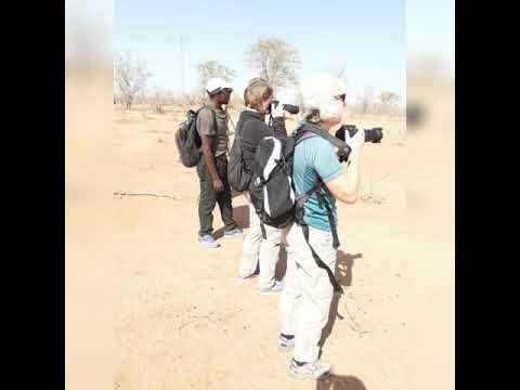 Video: Parcul Național South Luangwa, Zambia: Ghidul complet