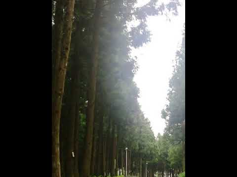 [TJ노래방라운지] 안녕(호텔델루나OST) - 폴킴
