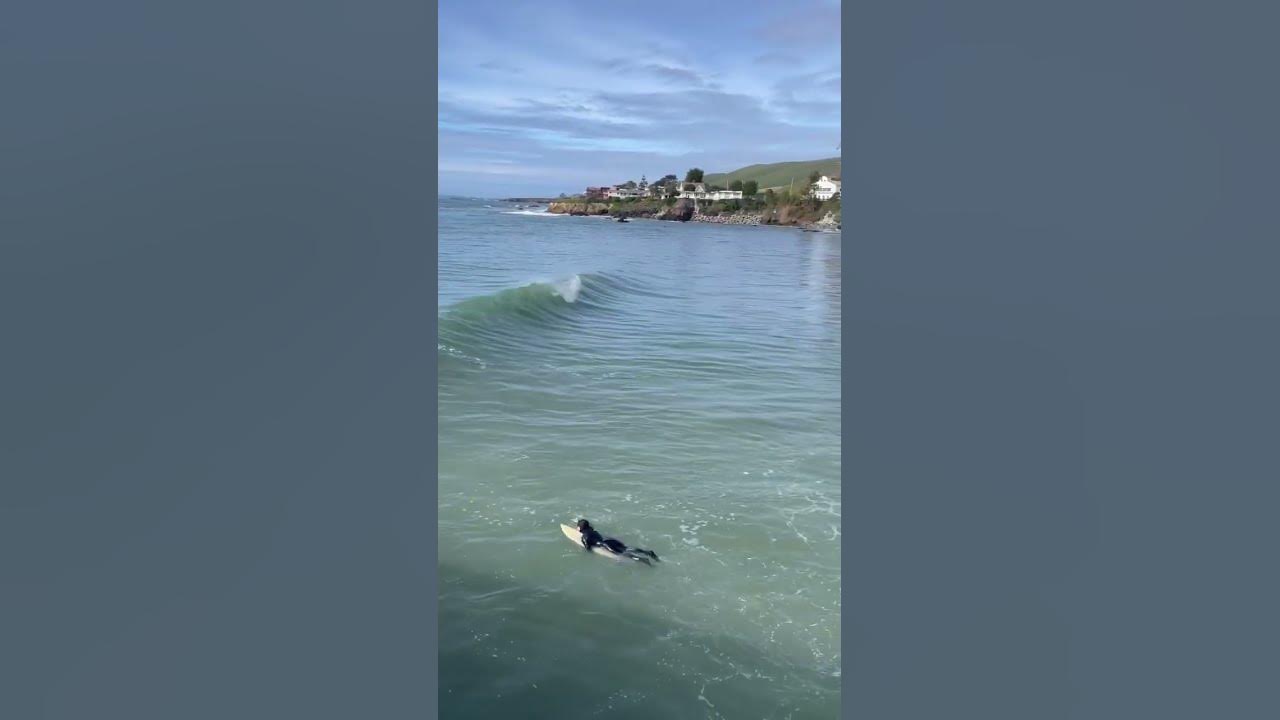 Cayucos Surf Lessons #surfing #805 #beach #learntosurf #pismobeach #cayucos #surf #bucketlist
