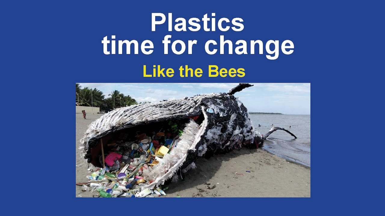 Like the Bees, by Kiwi songwriter Dave Nash