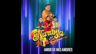 AMOR DE MIS AMORES - LUCIO SÁNCHEZ Y NARANJA MIX